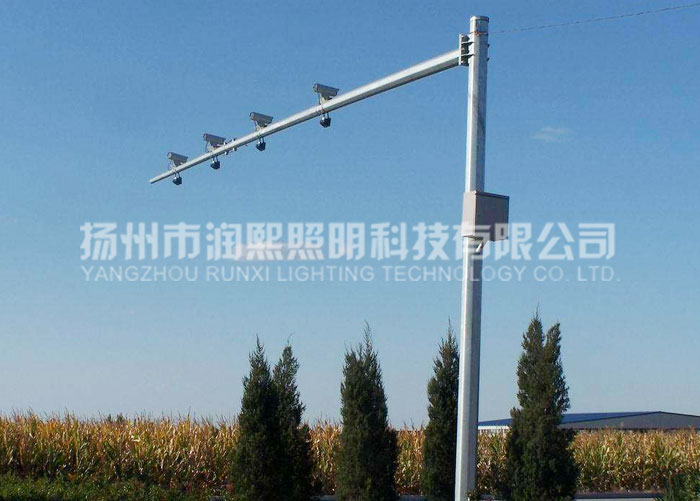 交通蘑菇视频下载免费观看 交通蘑菇视频下载免费观看