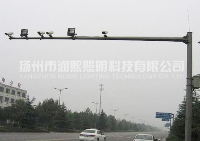 蘑菇视频下载免费观看