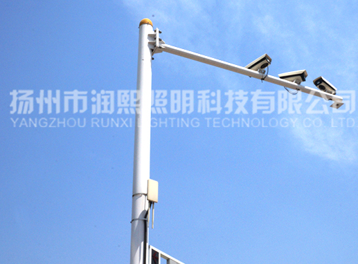 蘑菇视频下载免费观看