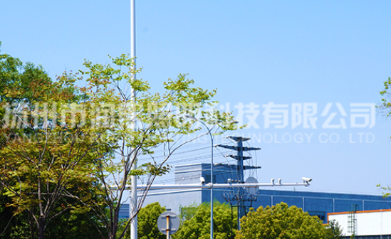 蘑菇视频下载免费观看