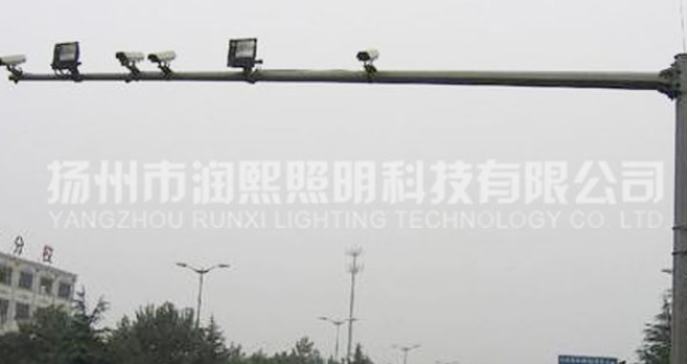 蘑菇视频下载免费观看