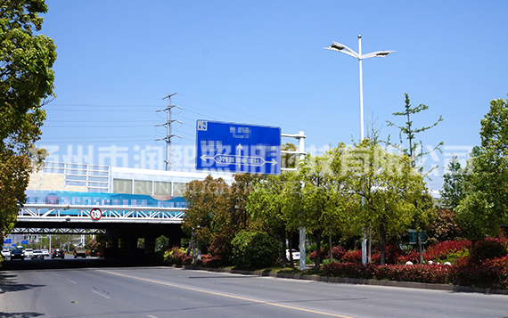 蘑菇视频下载免费观看